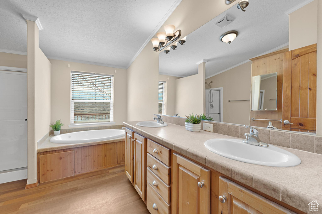 Bathroom featuring a sink, ornamental molding, a wealth of natural light, and wood finished floors