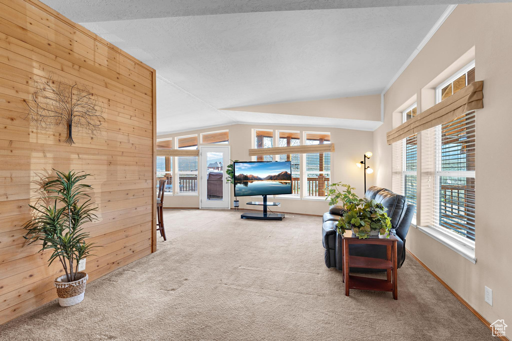 Carpeted living room with wooden walls and lofted ceiling