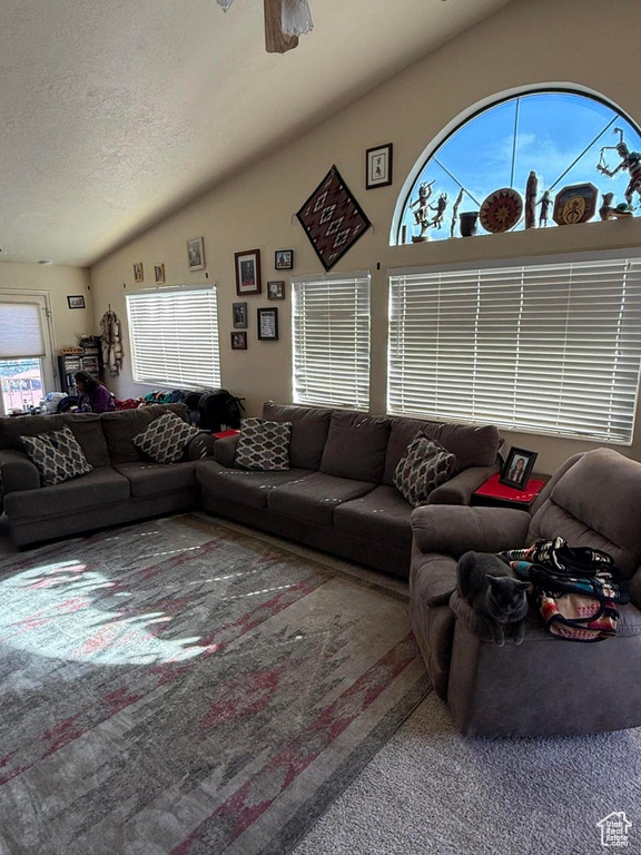 Living area with carpet floors, a textured ceiling, and lofted ceiling
