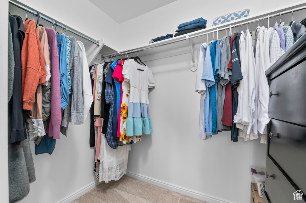 Spacious closet with carpet flooring
