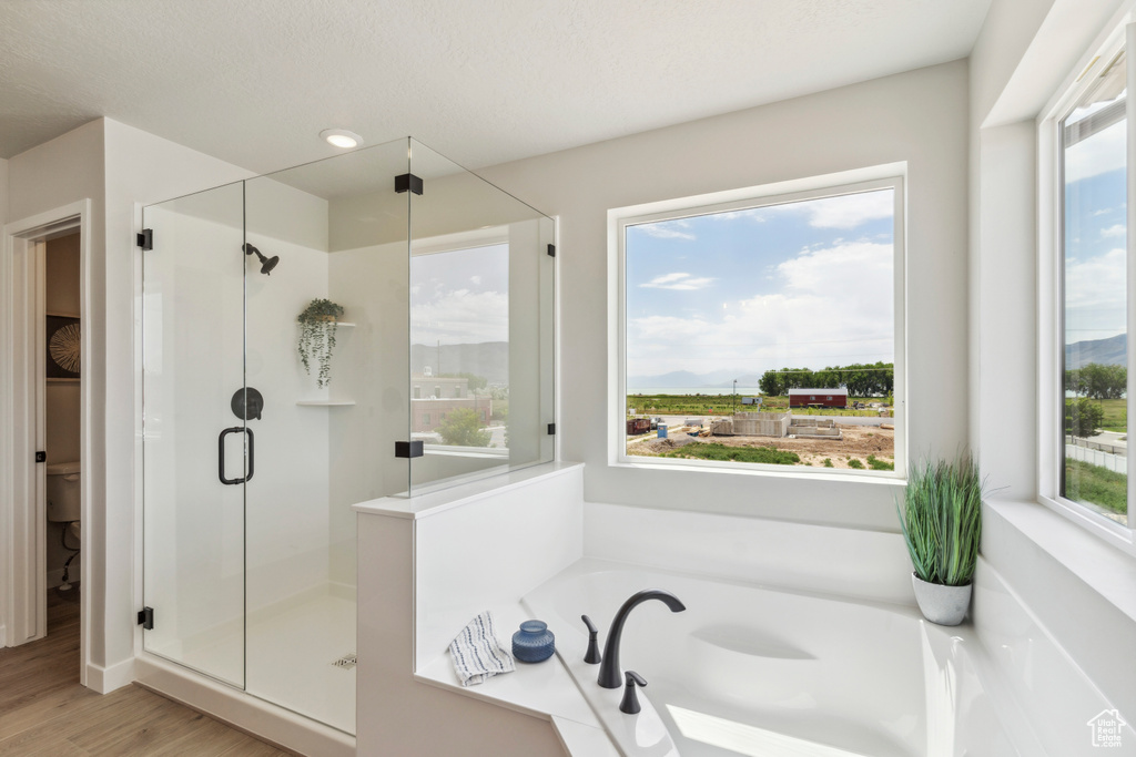 Bathroom with a shower stall, a garden tub, plenty of natural light, wood finished floors, and recessed lighting