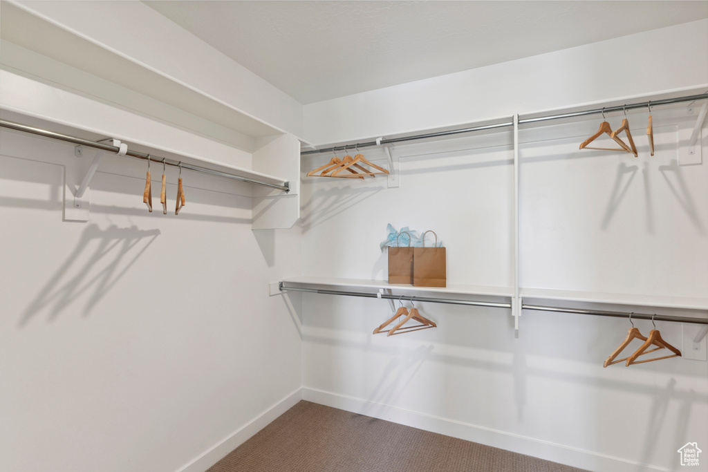 Spacious closet with dark colored carpet