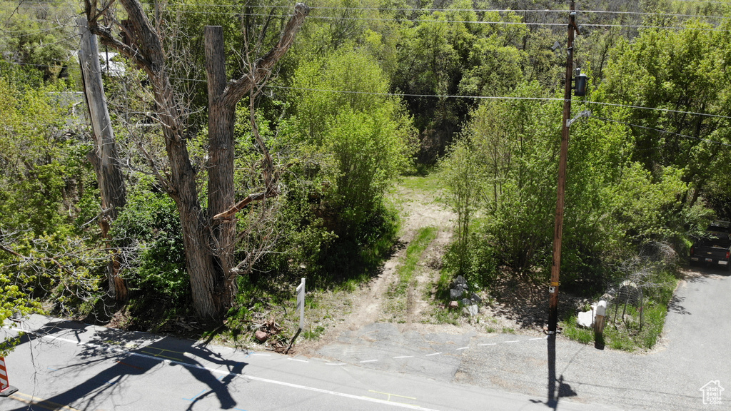 View of asphalt street featuring a view of trees