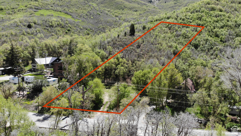Aerial overview of property\\\'s location with a heavily wooded area and property parcel outlined