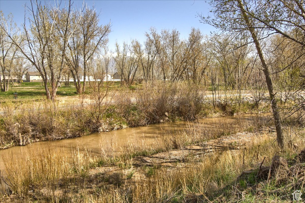 View of nature