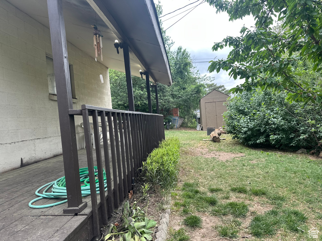 View of grassy yard with a storage shed and an outbuilding