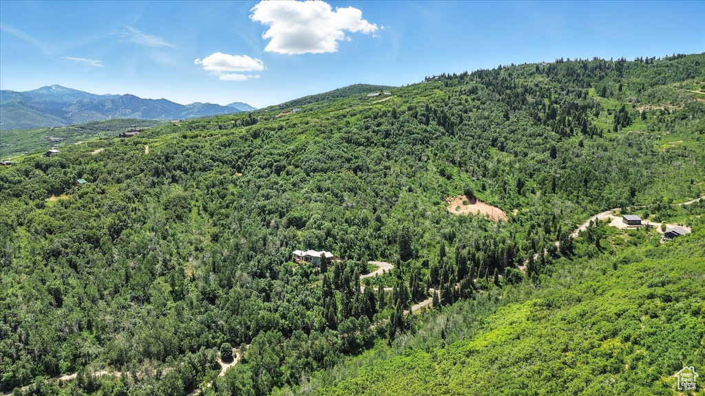 10129 N BASIN CANYON RD Park City, UT 84098