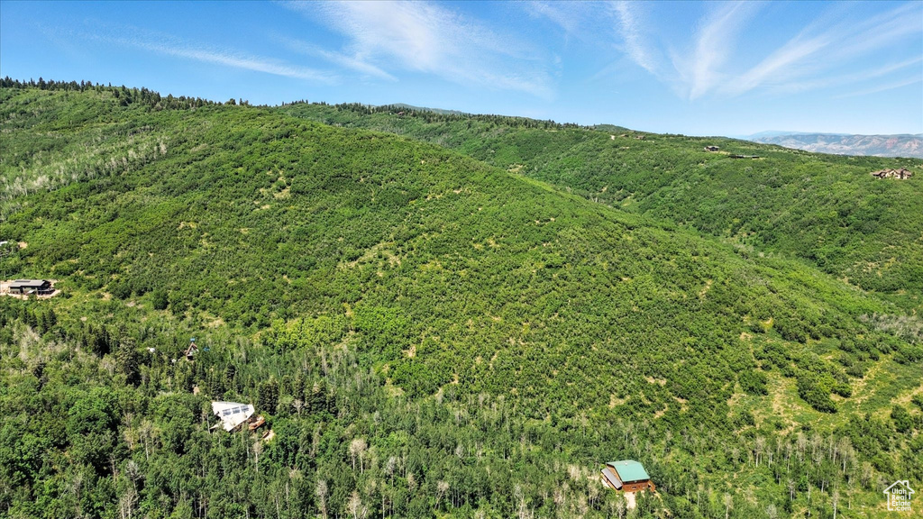 10129 N BASIN CANYON RD Park City, UT 84098