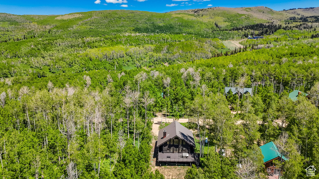 Bird's eye view of a heavily wooded area and a mountainous background