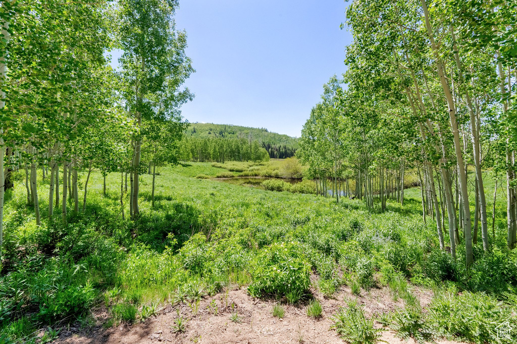 View of nature
