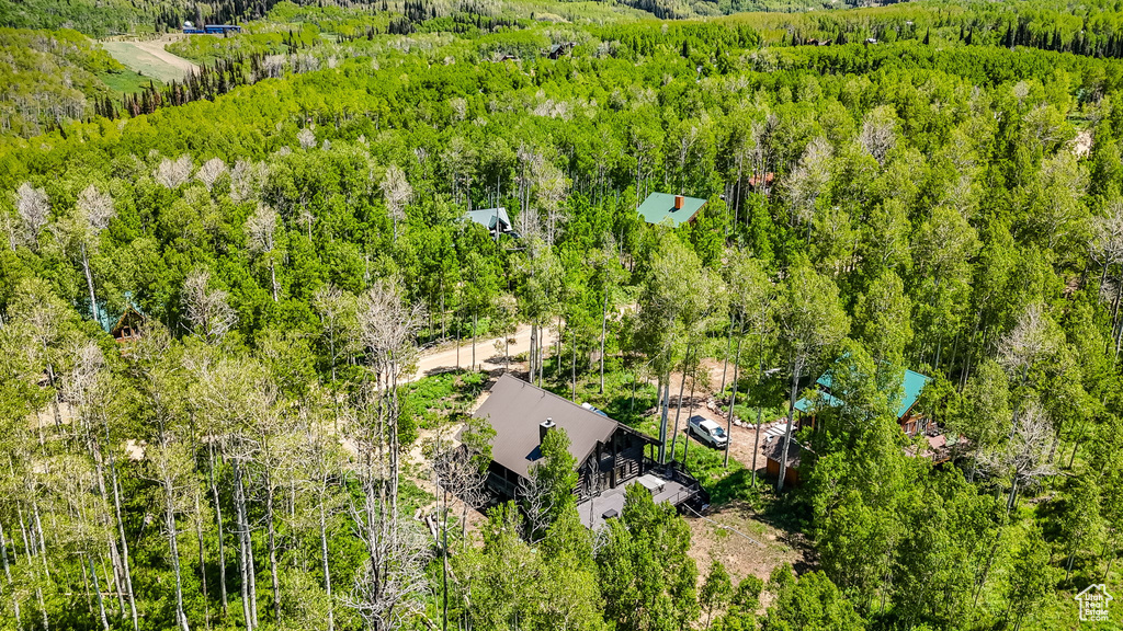 Bird's eye view of a forest