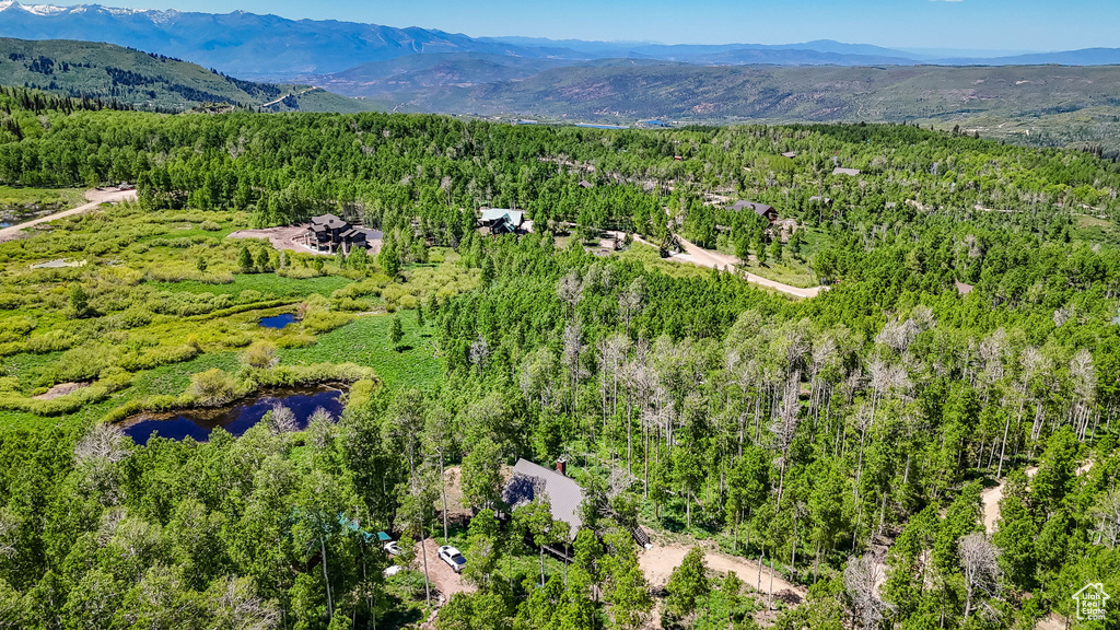 Drone / aerial view of a heavily wooded area and a mountain backdrop