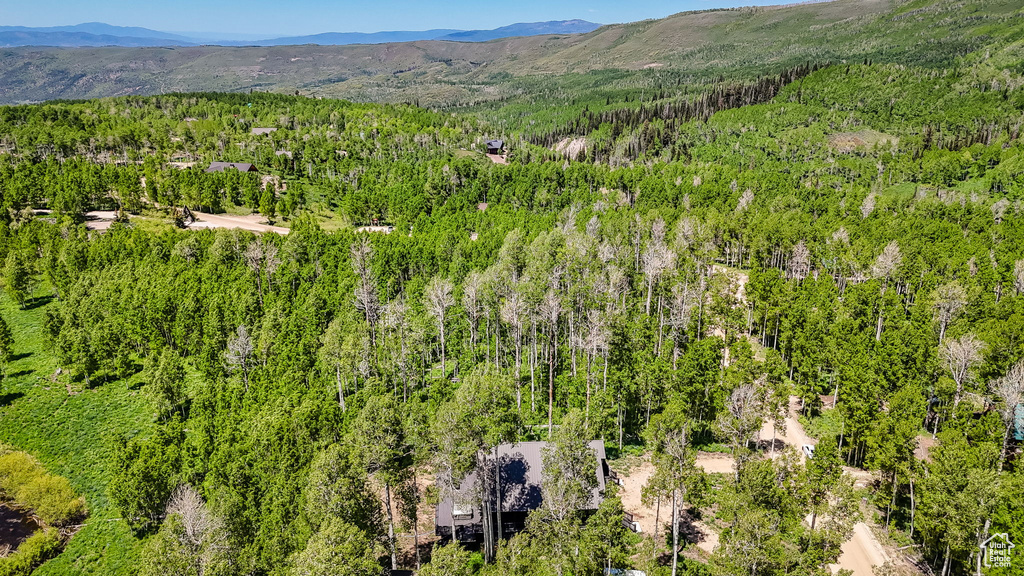 Drone / aerial view of a heavily wooded area and a mountain backdrop