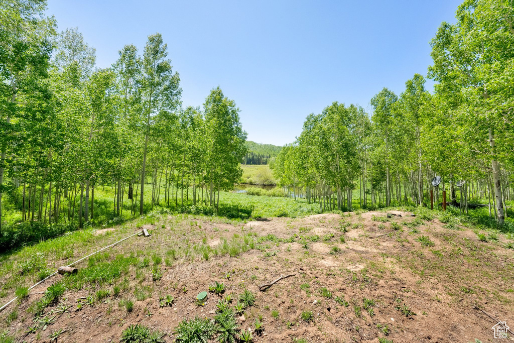 View of nature