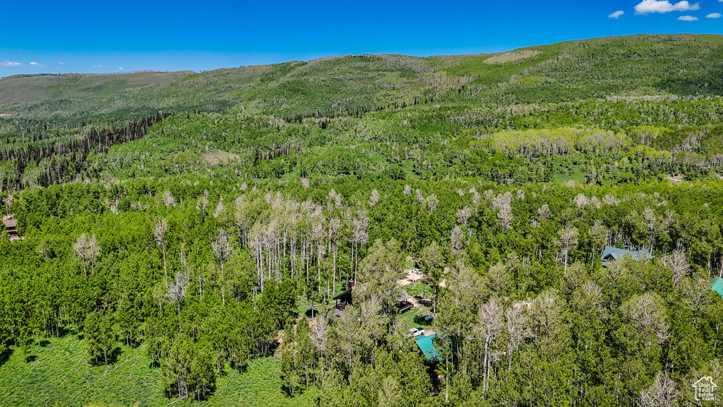 View of mountain background with a forest