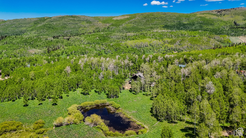 Aerial view of a mountainous background and a heavily wooded area