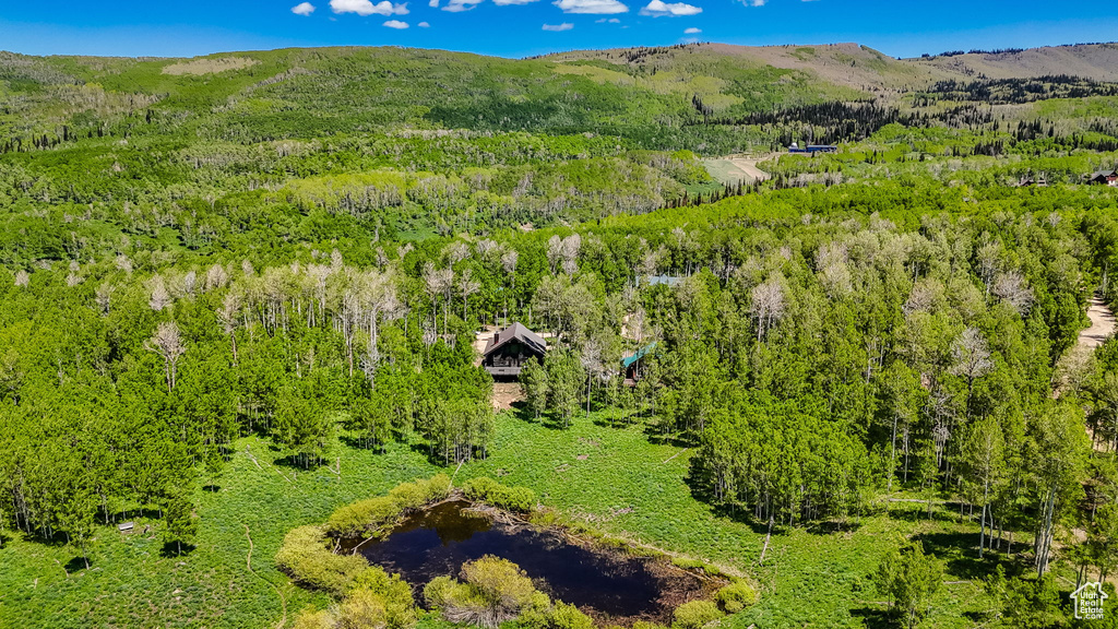 Bird's eye view of a heavily wooded area and a mountainous background
