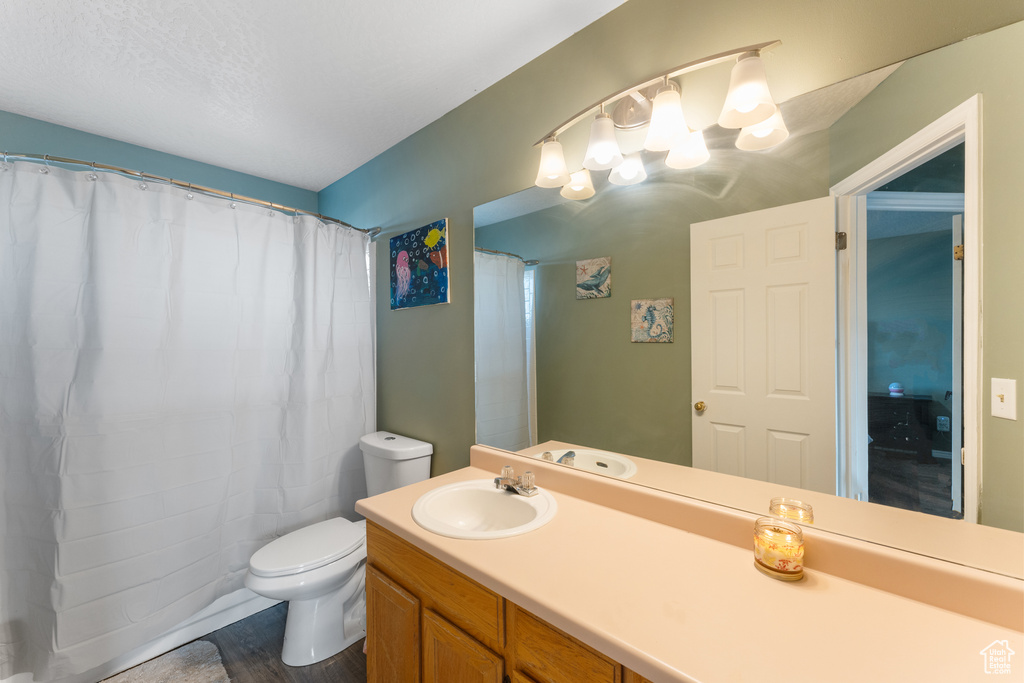 Full bathroom with toilet, curtained shower, and vanity