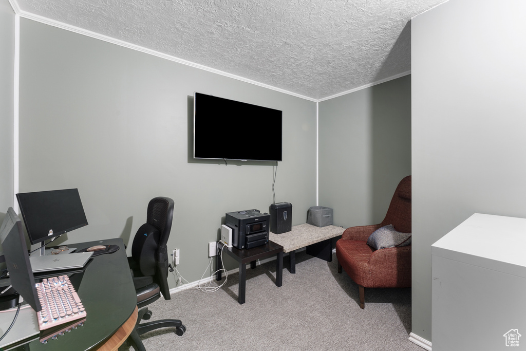 Office with carpet flooring, a textured ceiling, and baseboards