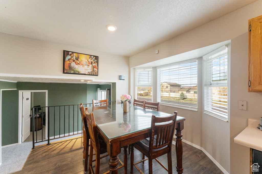 Dining space with baseboards, dark wood-style floors, and plenty of natural light