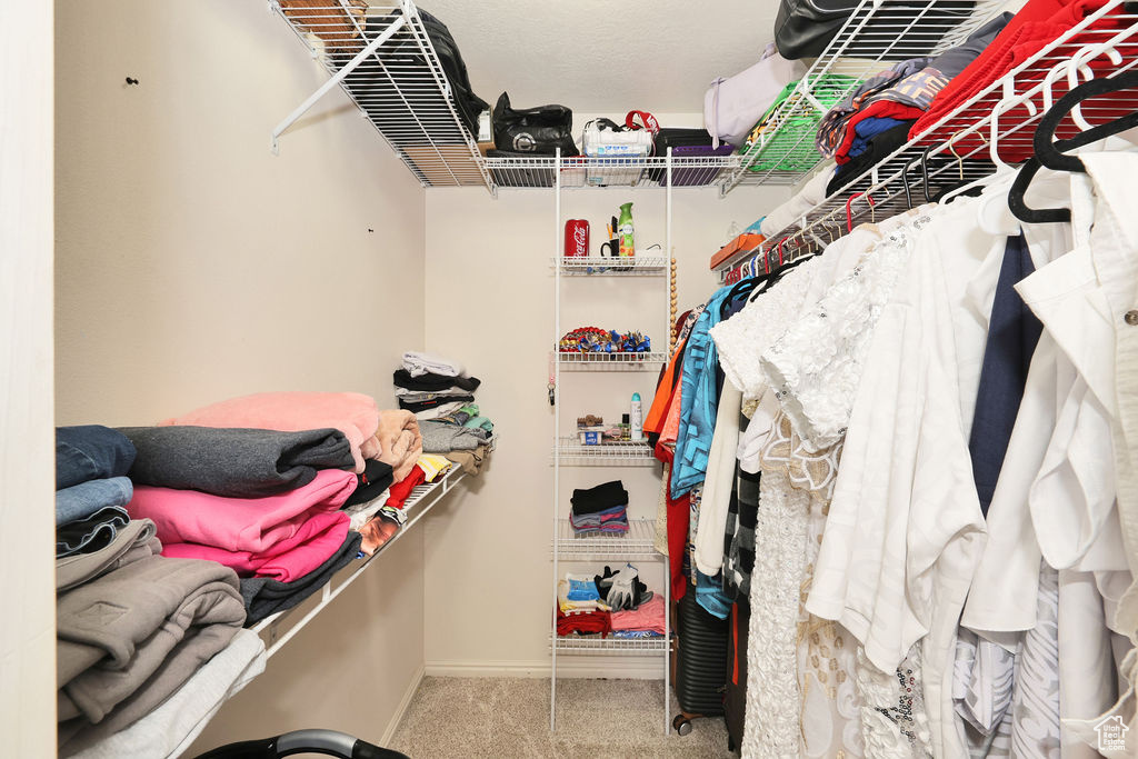 Spacious closet featuring carpet floors