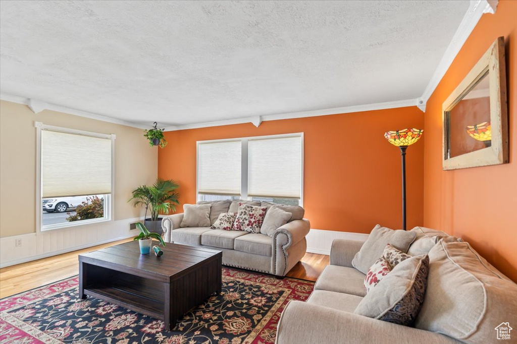 Living area with plenty of natural light, a textured ceiling, and wood finished floors