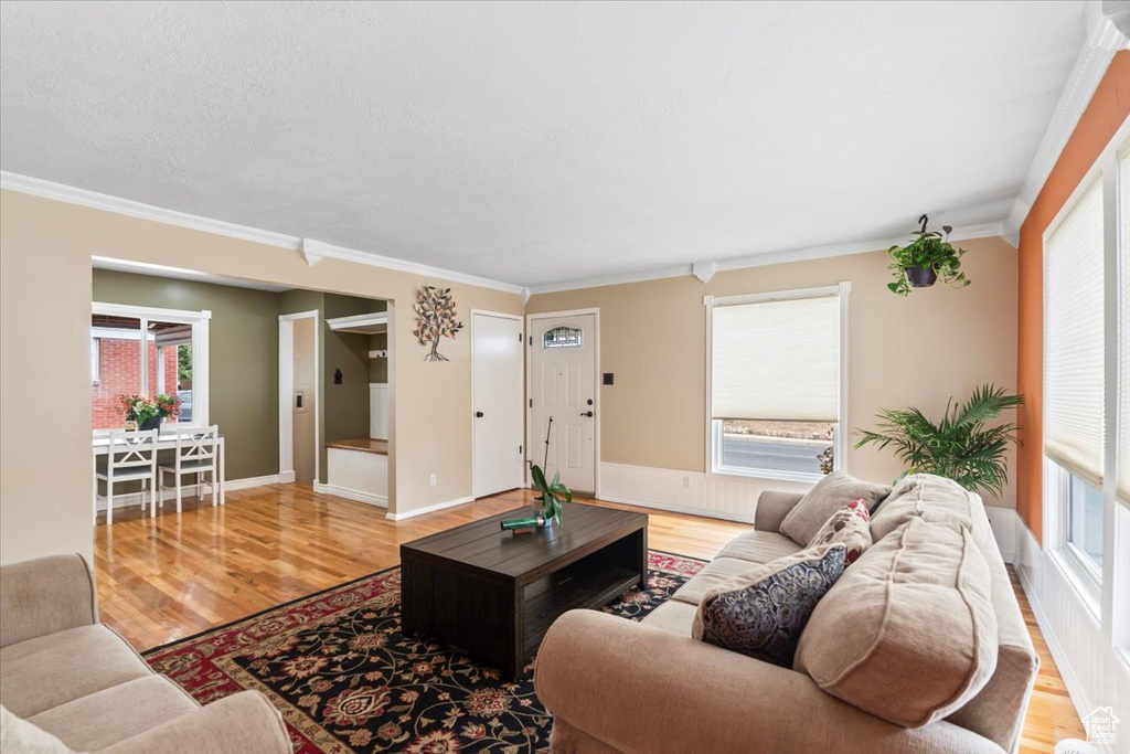 Living area with ornamental molding, light wood finished floors, and a healthy amount of sunlight