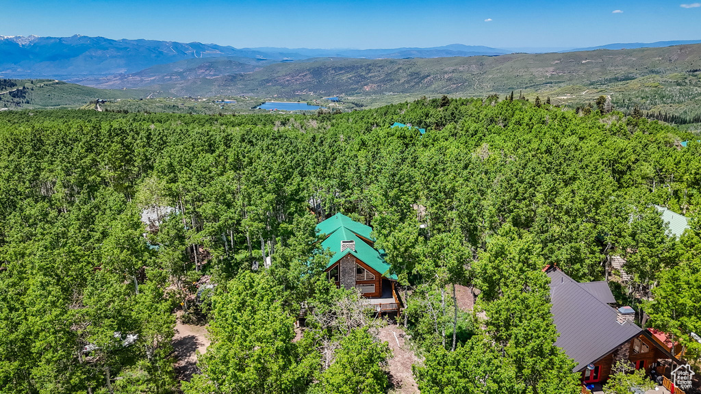 Bird's eye view of a mountainous background and a heavily wooded area