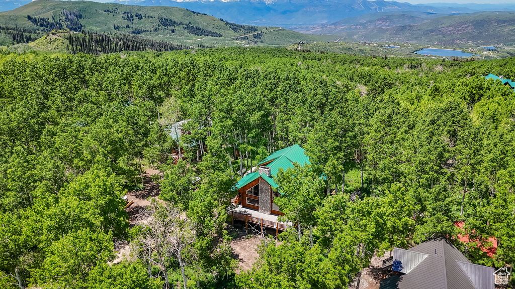 Bird's eye view of mountains and a heavily wooded area