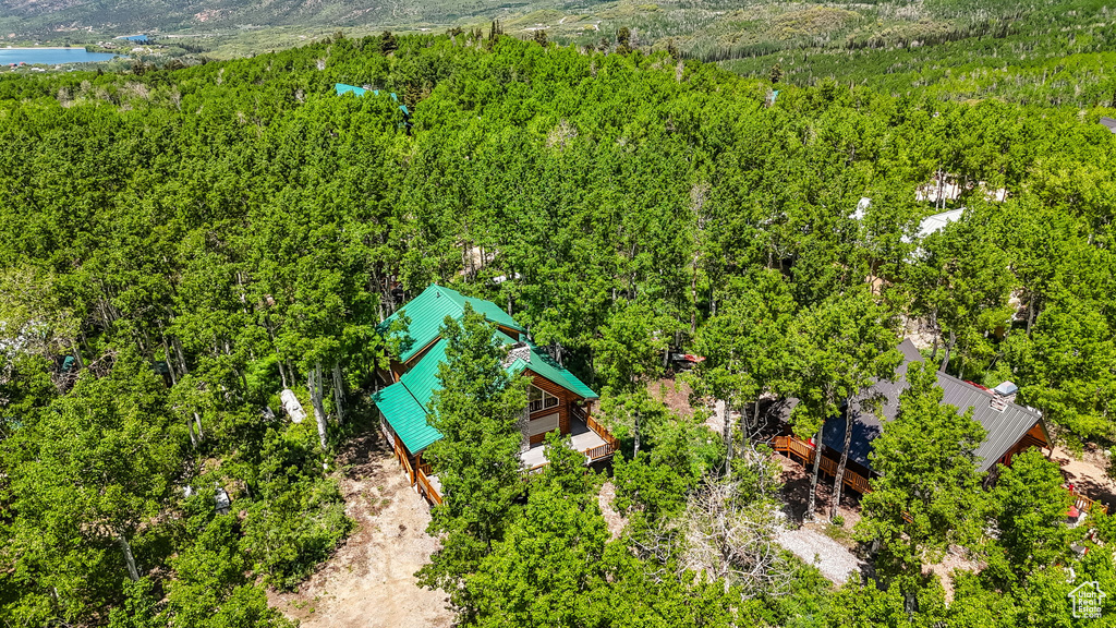 Drone / aerial view of a heavily wooded area