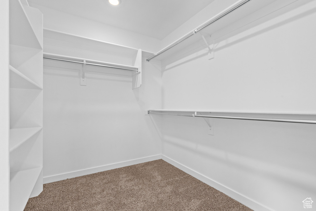 Spacious closet featuring carpet
