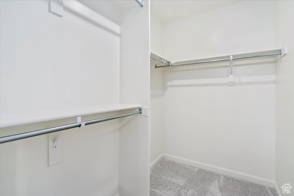 Spacious closet featuring carpet
