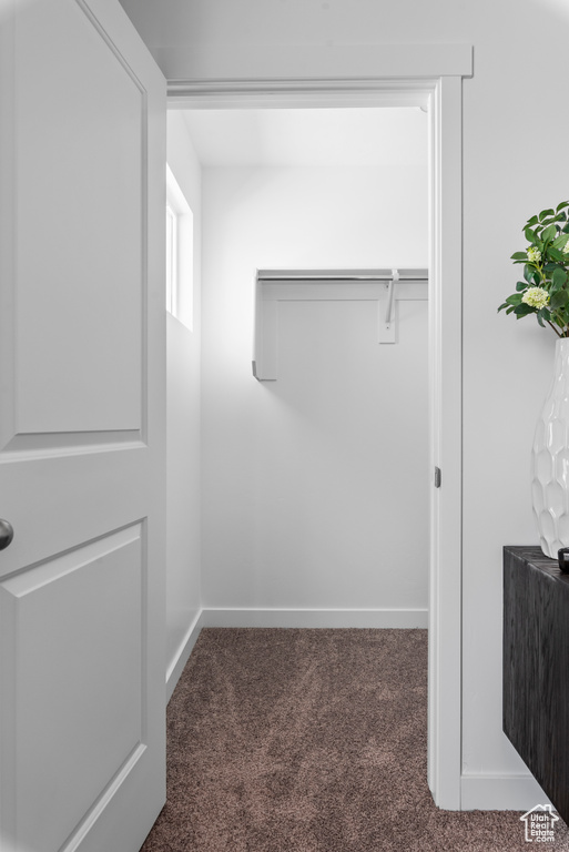 Walk in closet featuring carpet