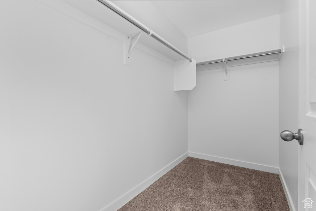 Spacious closet with carpet floors