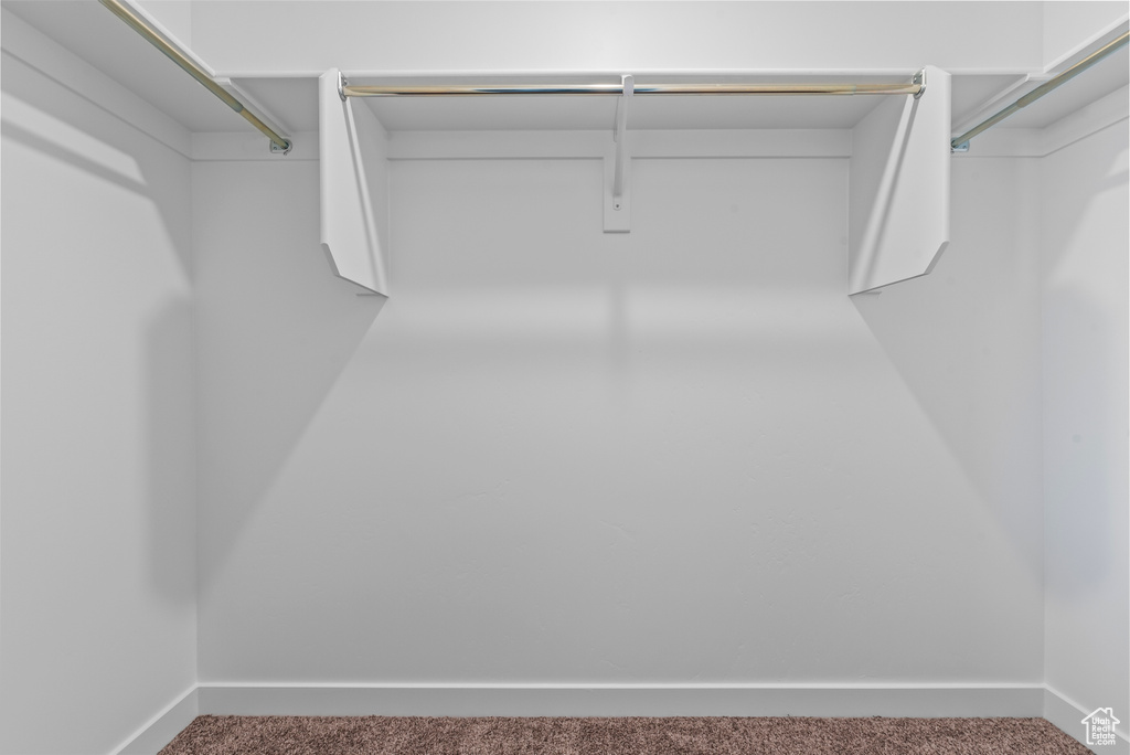 Spacious closet with carpet floors