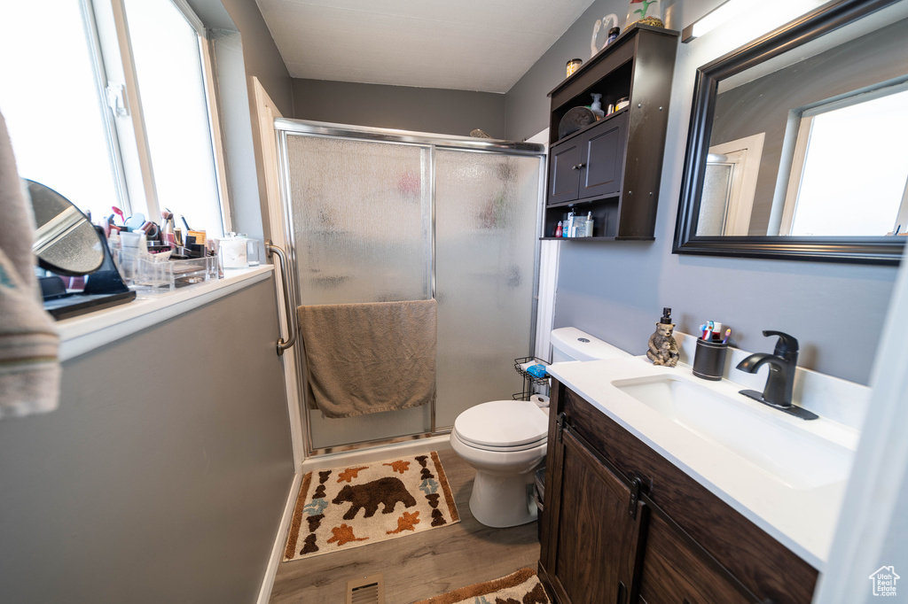 Full bathroom featuring toilet, a wealth of natural light, a shower stall, and vanity