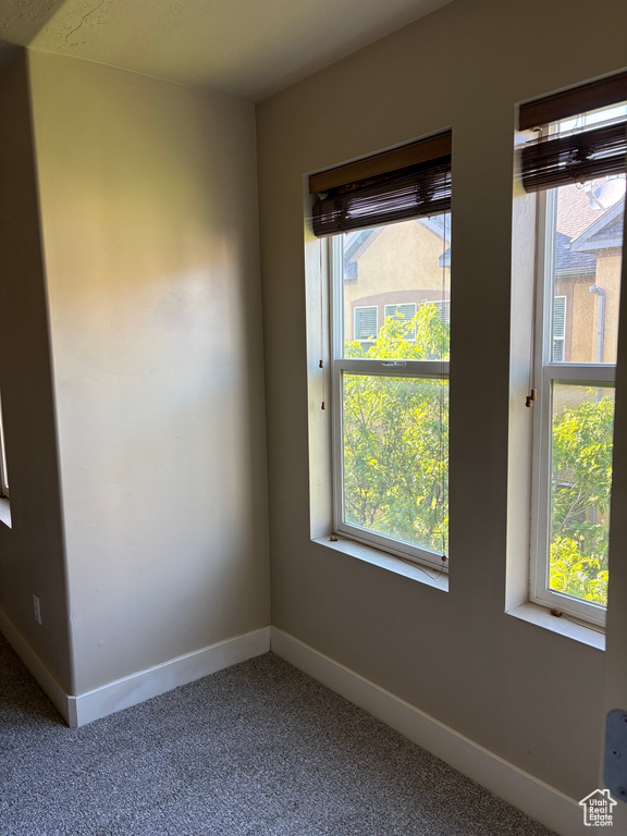 Carpeted spare room featuring baseboards and healthy amount of natural light