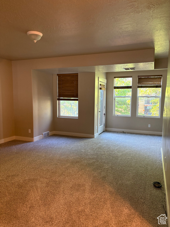 Unfurnished room featuring baseboards, healthy amount of natural light, carpet floors, and a textured ceiling