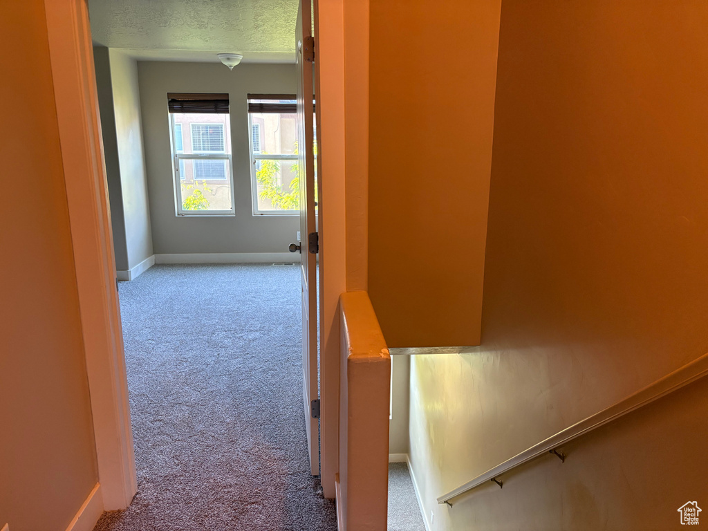 Hall featuring carpet floors, baseboards, and a textured ceiling