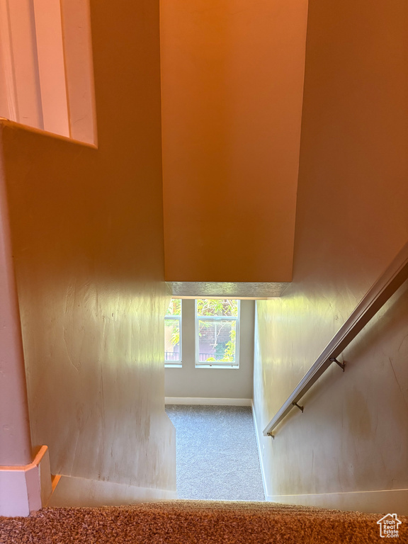 Stairway with carpet