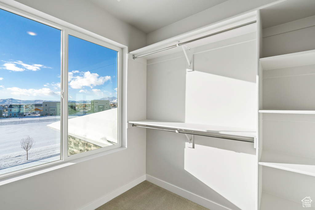 Walk in closet with carpet floors