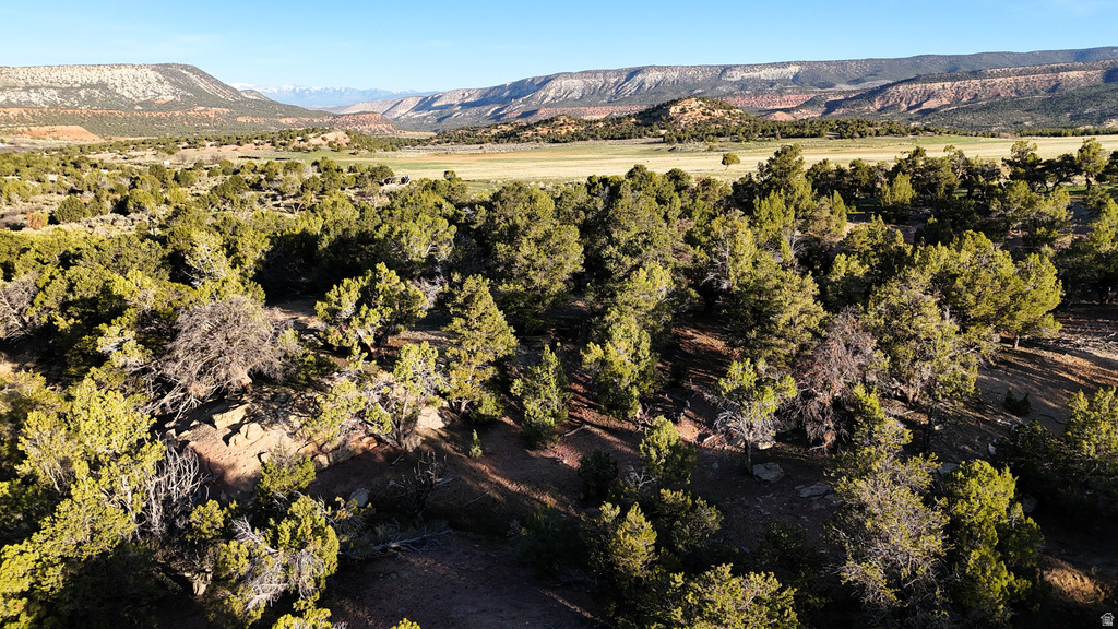  Gooseberry, UT 84654