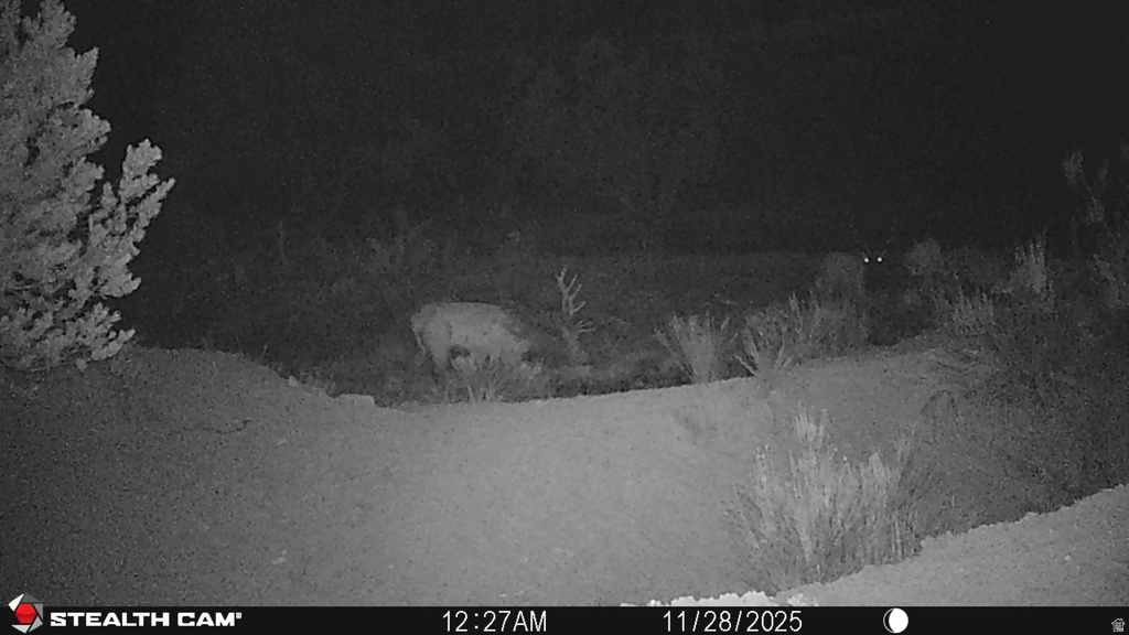  Gooseberry, UT 84654
