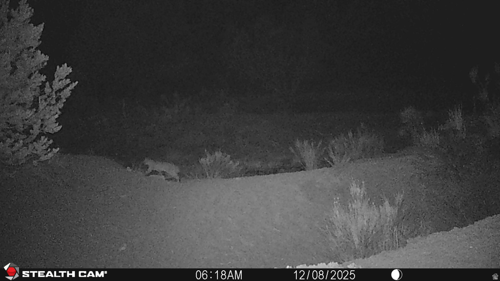  Gooseberry, UT 84654