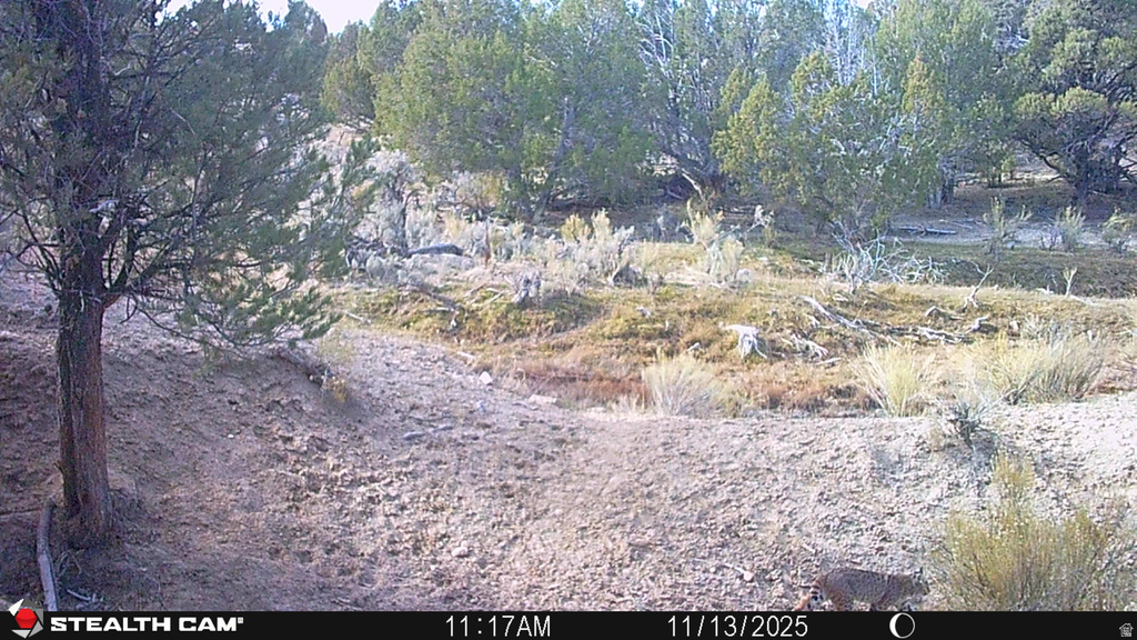  Gooseberry, UT 84654
