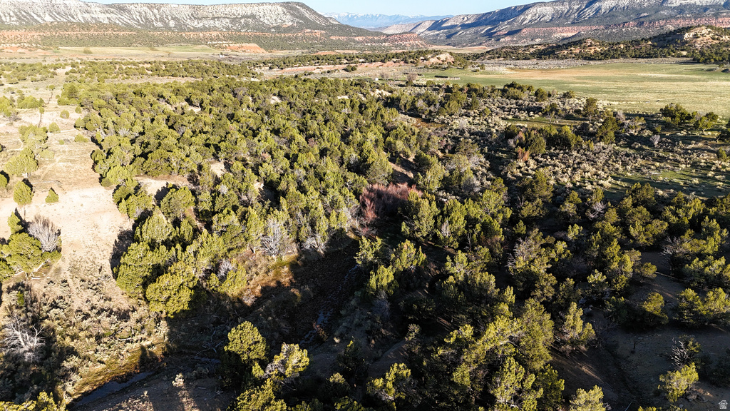  Gooseberry, UT 84654