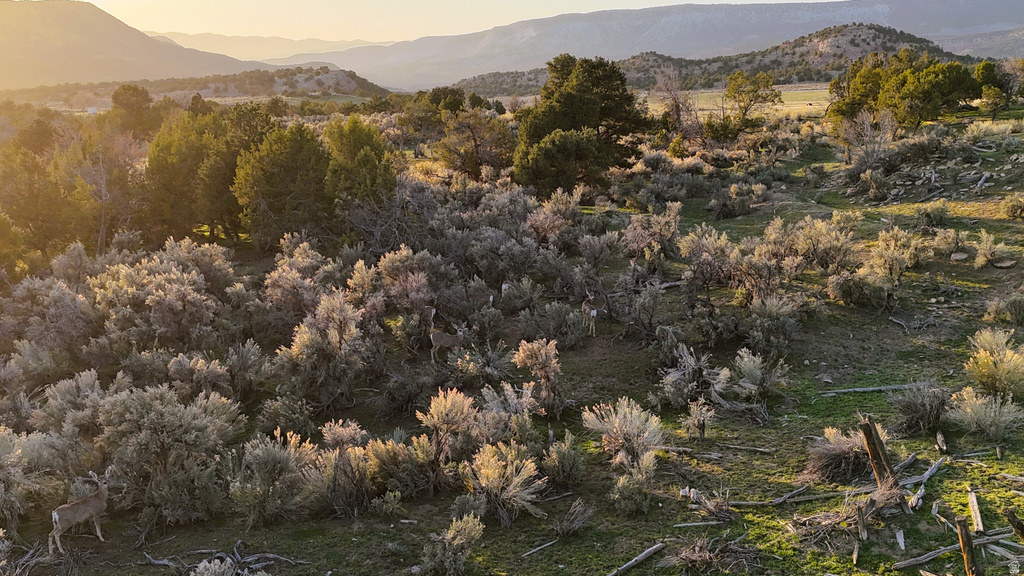  Gooseberry, UT 84654