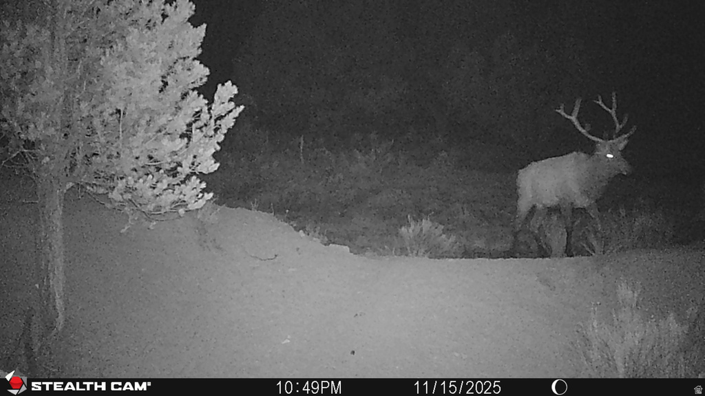  Gooseberry, UT 84654