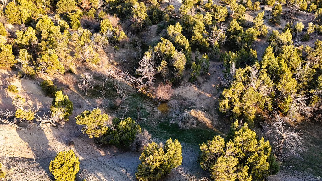  Gooseberry, UT 84654
