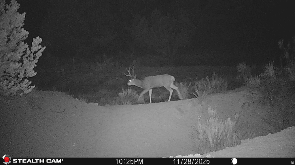  Gooseberry, UT 84654